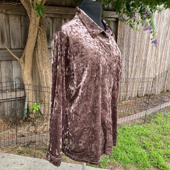 Belle by Kim Gravel Velvet Button Down Shirt - Brown - Picture 4 of 9